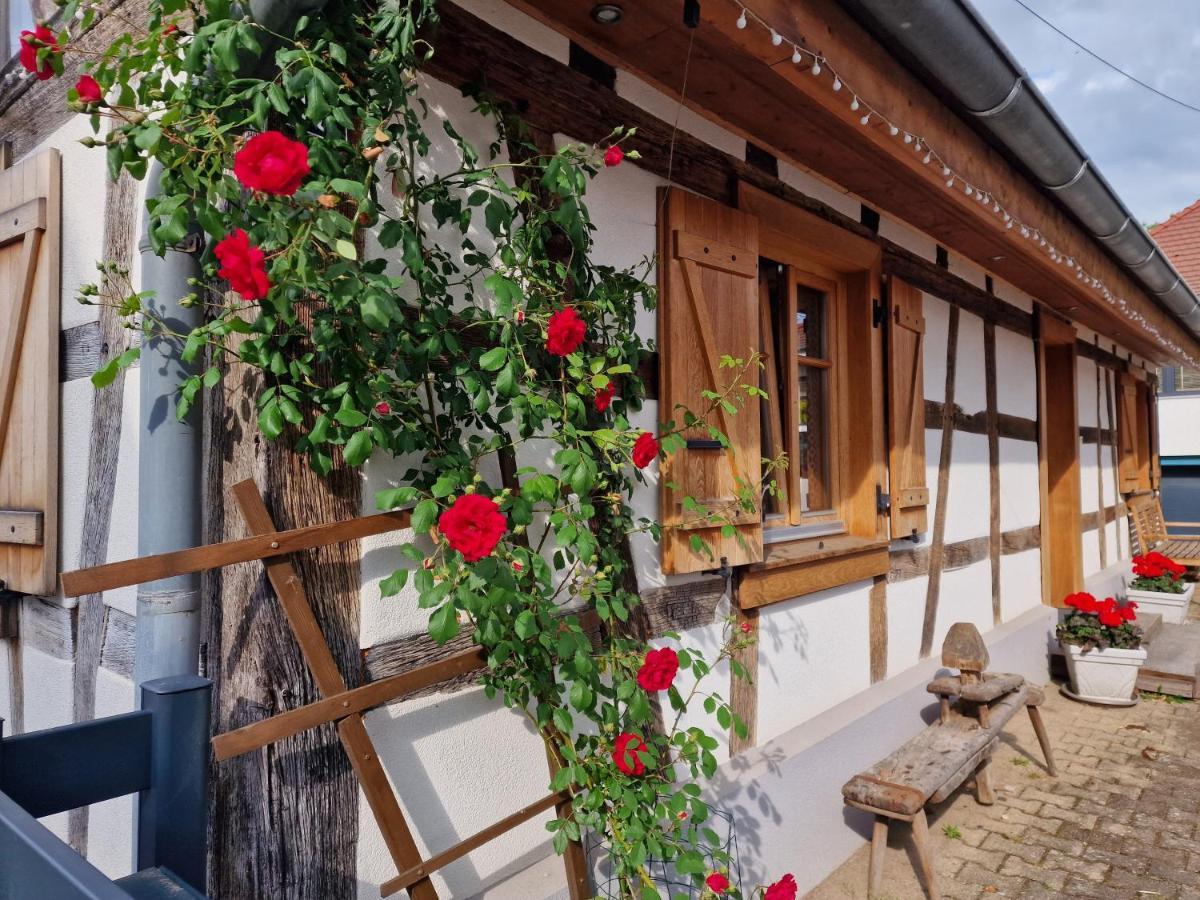 Une Maison A Colombages - Cosy, Lumineuse Et Sauna Kesseldorf Exterior foto